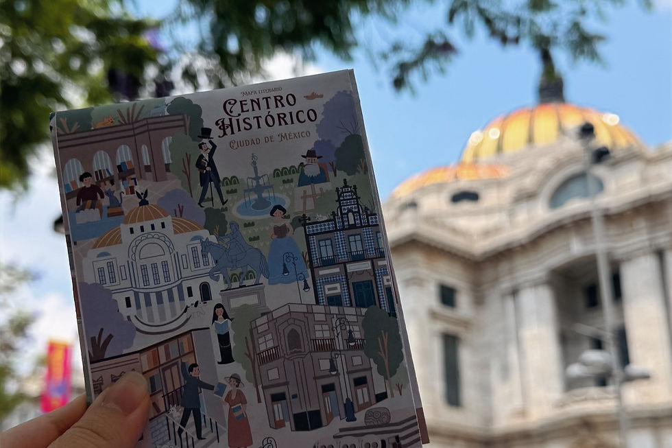 Páginas del Centro Histórico con Karla Ceceña