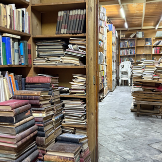 librería selecta donceles