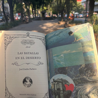 paseo literario colonia roma