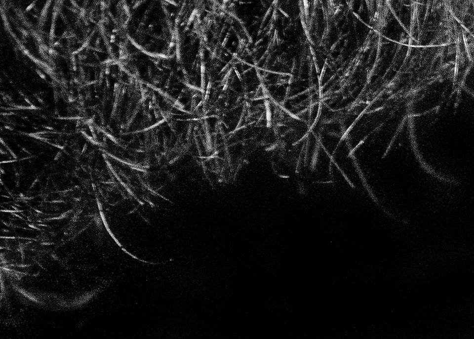 IMG-2