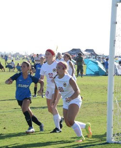 Surf Cup Goal
