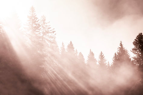 38F6B94C-8798-4DC5-850E-7504250D7EF9.jpeg