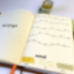 Bullet Journal Mood Tracker
