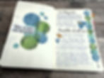 Journal pages