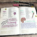 Hobonichi Journal Pages