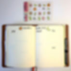 Bullet Journal Brain Dump