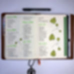 Bullet Journal Daily Log