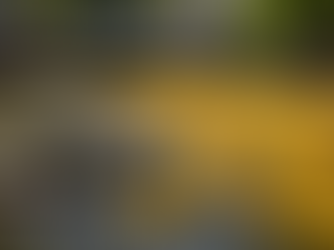 Mountain Laurel Festival Brings Back Beloved Duck Race Tradition