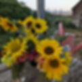 PXL_20230826_023259762.jpg