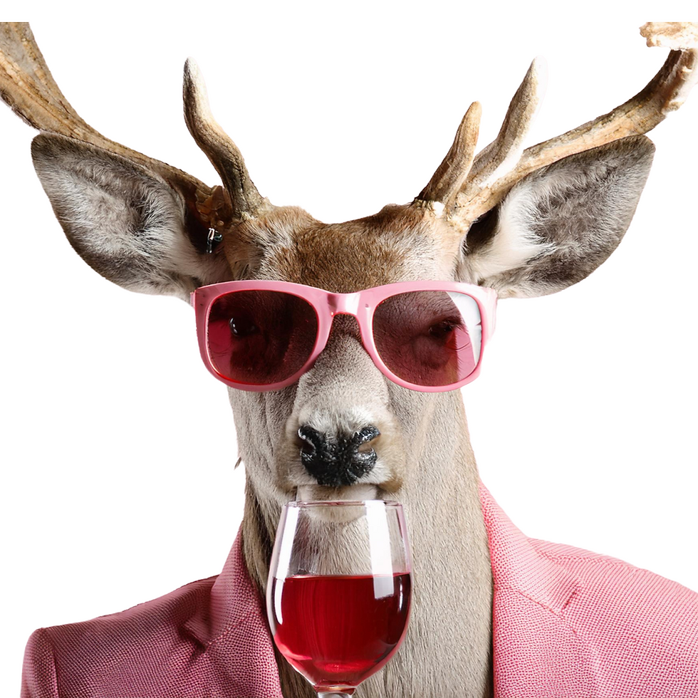 Romy Pics-5.png