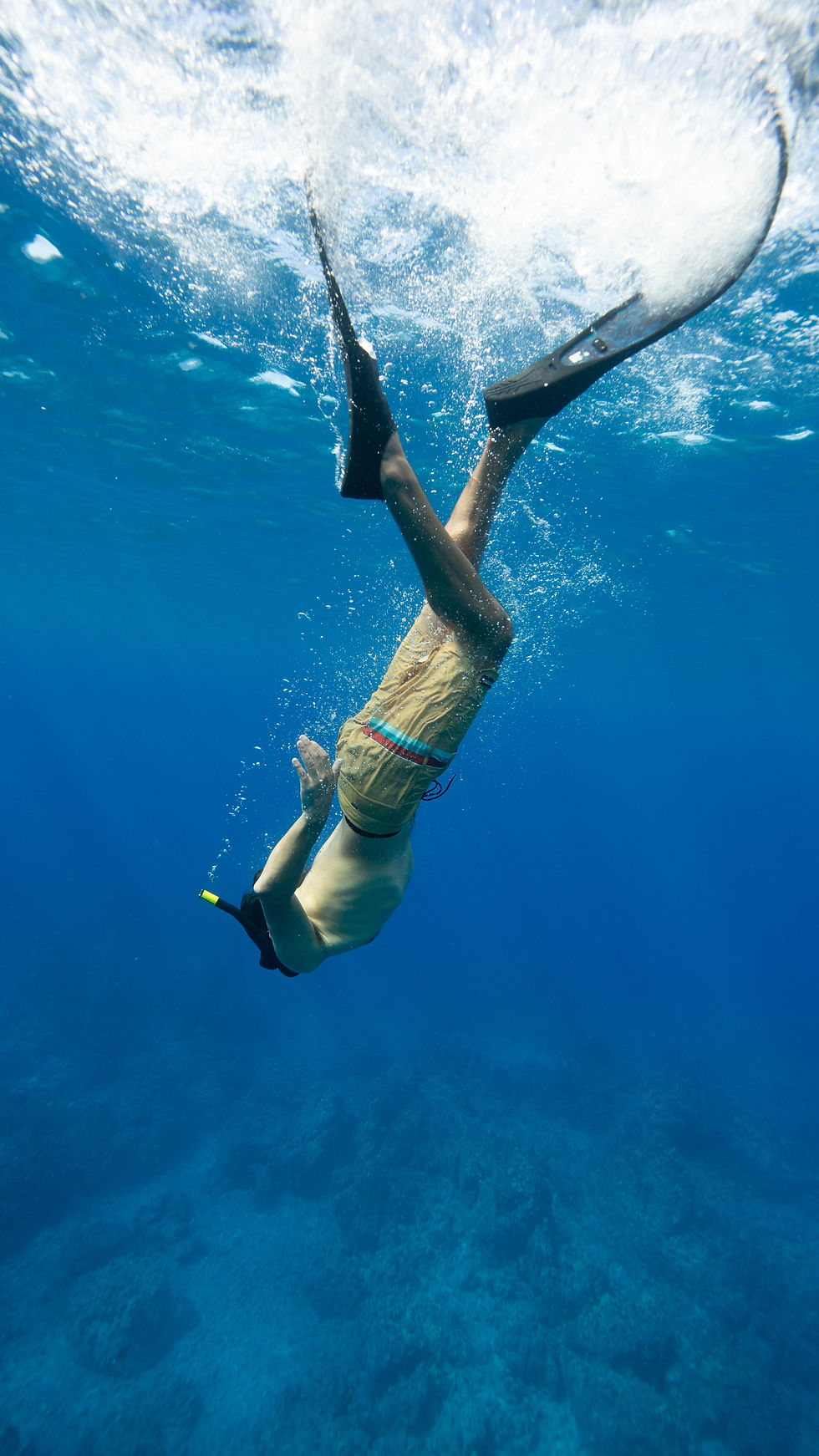 Snorkel trip guest