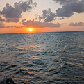 PXL_20250423_234135930.jpg