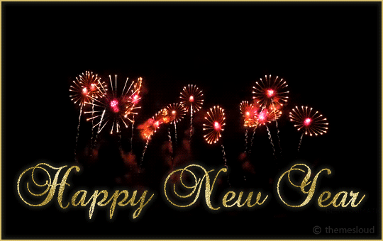 new year fireworks 2.gif