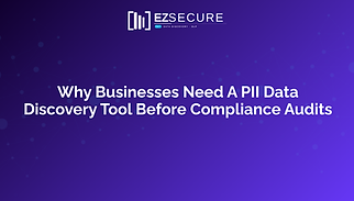 Why Businesses Need A PII Data Discovery Tool Before Compliance Audits