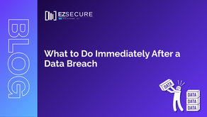 What to Do Immediately After a Data Breach