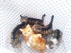 10636064_704992596242018_8232079510387594685_n