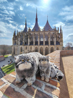 IMG_20250405_130040561_HDR