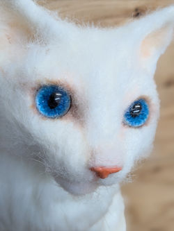 PXL_20240702_132438449.PORTRAIT