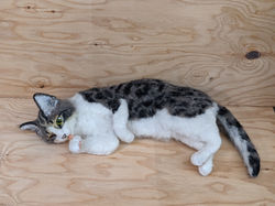 PXL_20210401_121530090.PORTRAIT