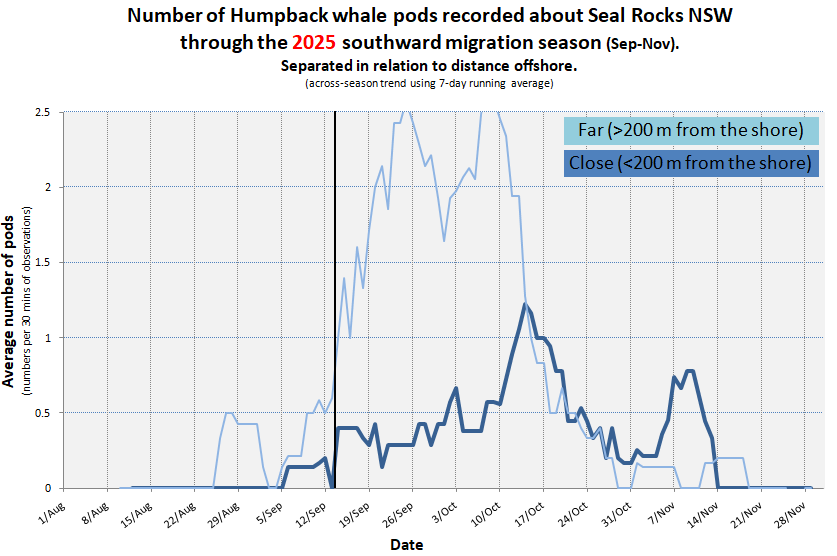 2025 whale numbers.png