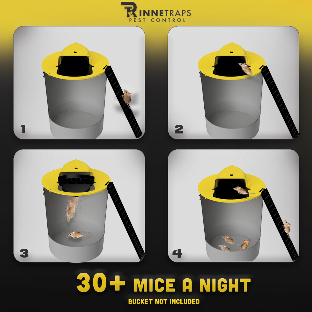 RinneTraps Flip N Slide mechanism diagram showing a mouse climbing the ramp and sliding into the bucket, labeled 30+ mice a night