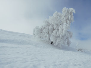 Bulgaria travelogue / Putopis kroz Bugarsku