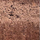 subsoil