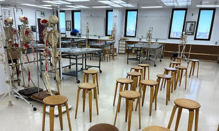 interior of the anatomy lab, with wooden stools, metal tables, and windows looking out to a blue sky