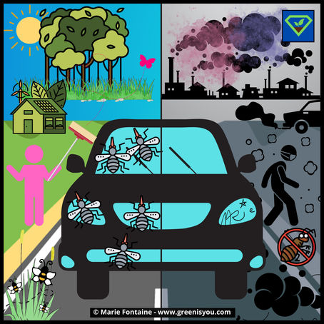 Les insectes, moins nombreux à venir s’écraser sur nos pare-brise et c’est une mauvaise nouvelle !