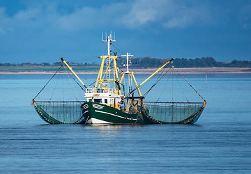 Bearings for Fishing Boat Cranes