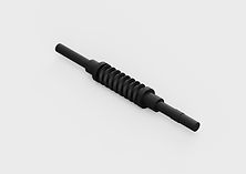 Worm Gear