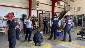 Multi Company Training