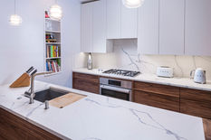 Philadelphia Kitchen Remodeling Near Art Museum area in Spring Garden8902.jpg