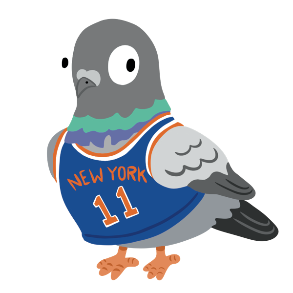 Knicks_Pigeon_Full_Bleed.png