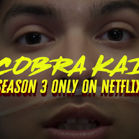 Cobra Kai Season 3 Gets A Release Date On Netflix, Season 4 Officially Happening!