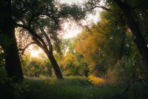 Colors of Fall - Photography by Bodie Nielsen.