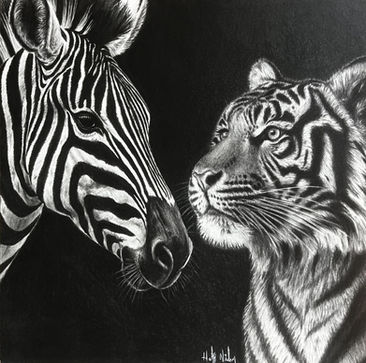Stripes - Charcoal on paper by Haley Nielsen.