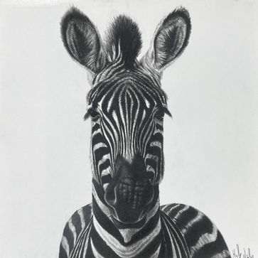 Marty - Charcoal on paper by Haley Nielsen.