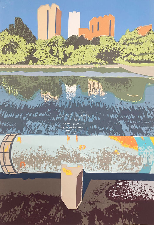 Rory Brooke Walthamstow Wetlands Layer 9 16th November 2024.jpg