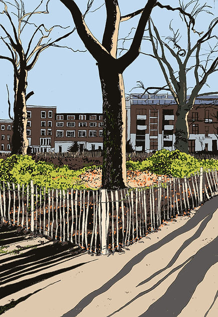 Rory Brooke Fence & Trees Sketch.jpg