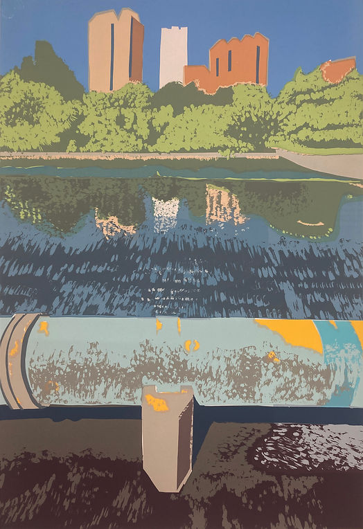 Rory Brooke Walthamstow Wetlands Layer 8 16th November 2024.jpg