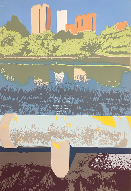 Rory Brooke Walthamstow Wetlands Layer 7 9th November 2024.jpg