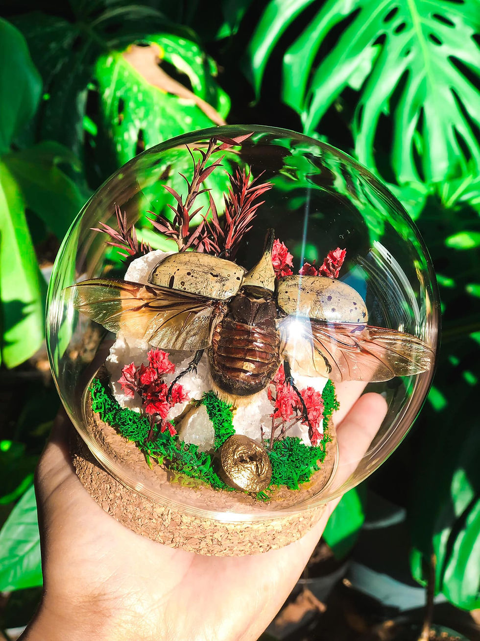 Thumbnail: Western Hercules Beetle