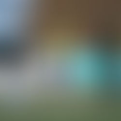 Vereinsschiedsrichter gesucht