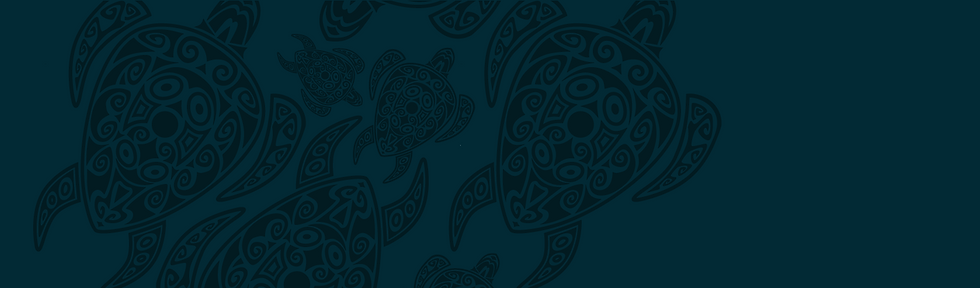 CALAweb-06.png