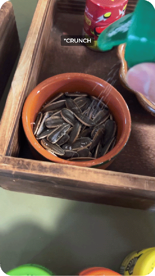 Twangerz C1 9x16 02.gif