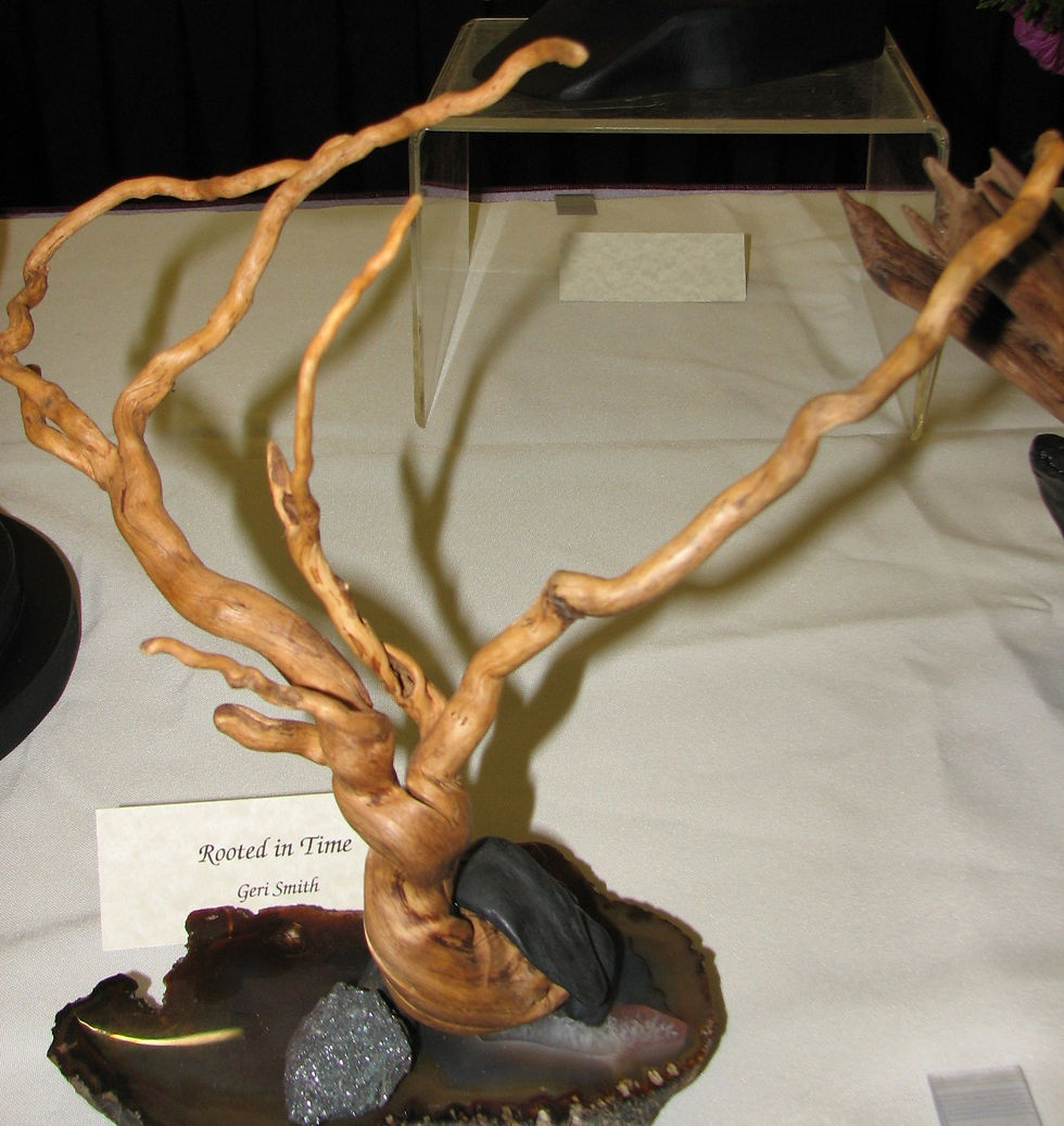 Rooted in Time by Geri Smith