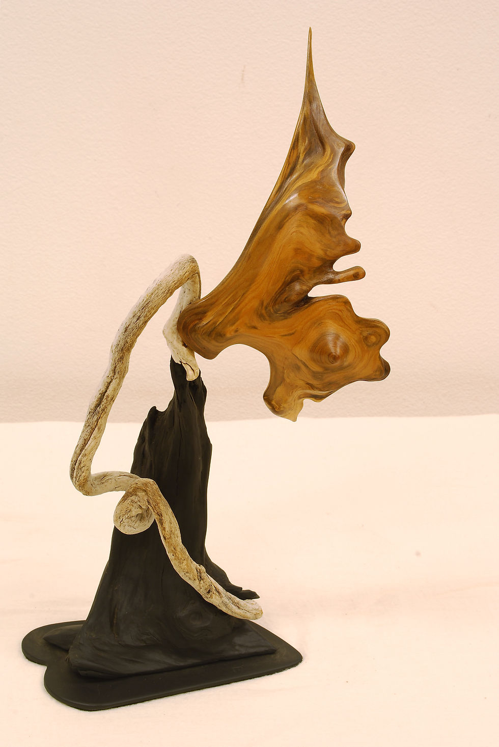 Butterfly by Tuttie Peetz