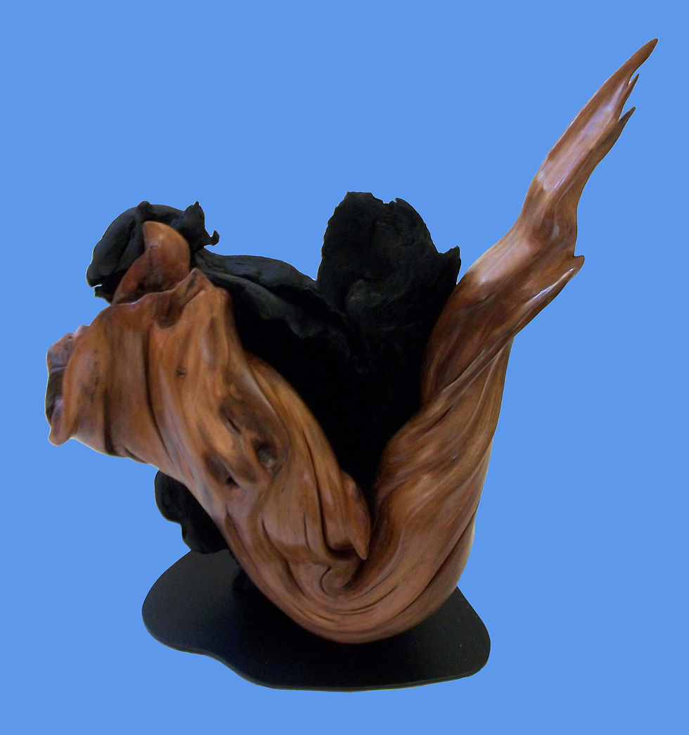 2013_Raffle_Piece-1