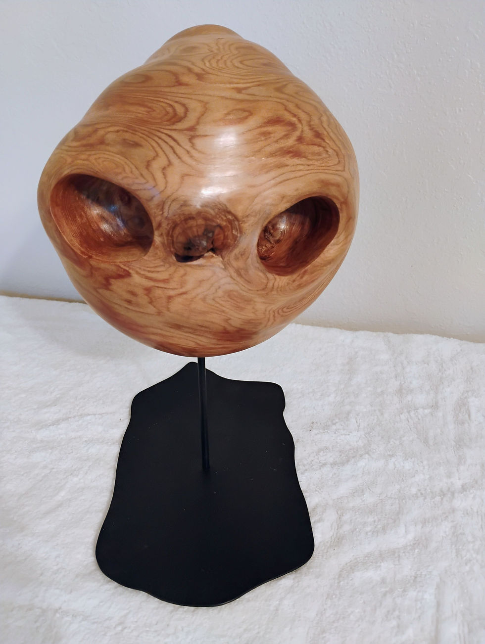 ET Phone Home by Wayne Blackburn